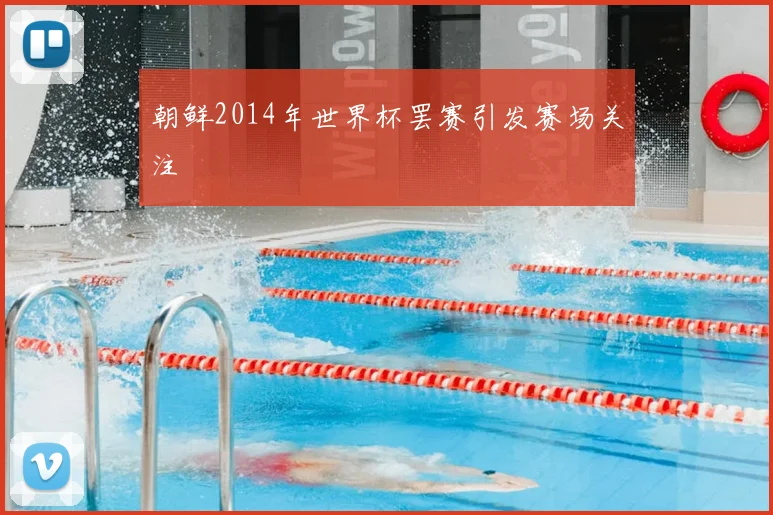 朝鲜2014年世界杯罢赛引发赛场关注