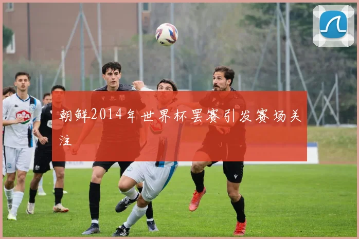 朝鲜2014年世界杯罢赛引发赛场关注