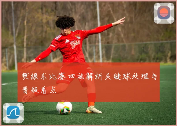 樊振东比赛回放解析关键球处理与晋级看点