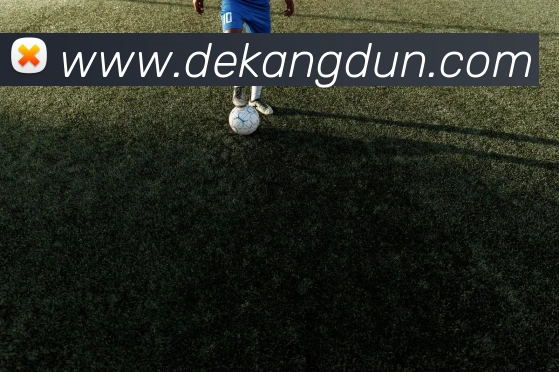 世界杯官网线上平台品牌故事